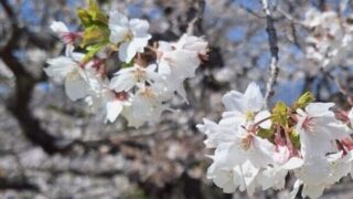 新体制がスタート！！