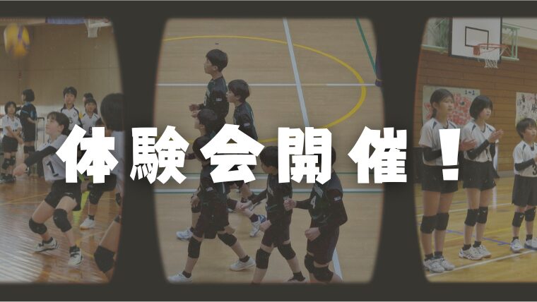 体験会を開催します！